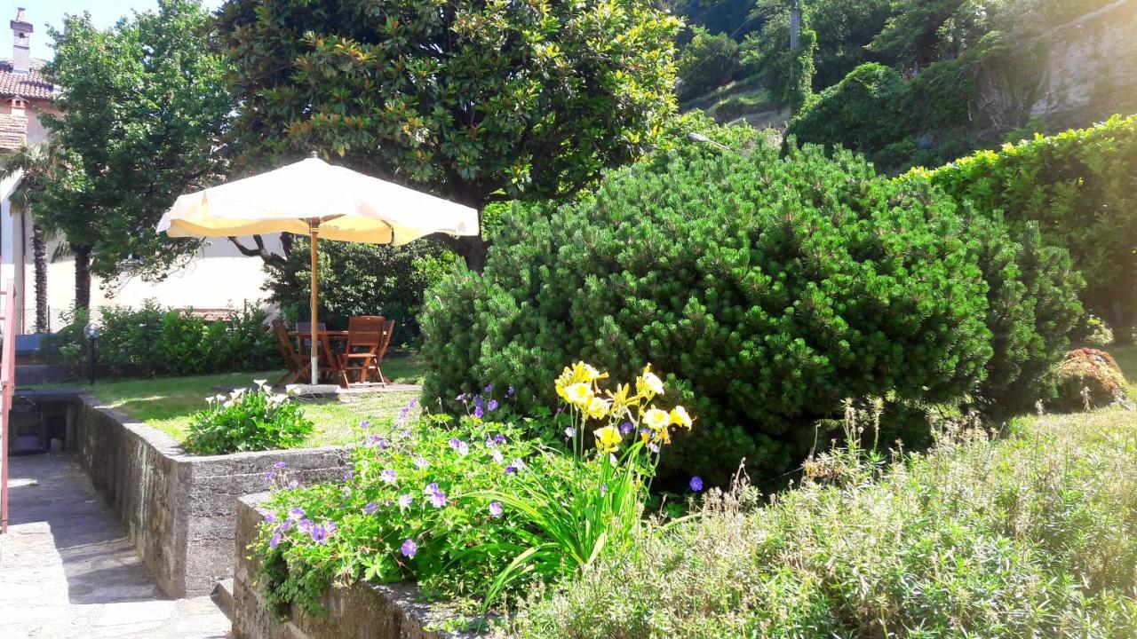 Villa Giardino Dervio Exteriör bild