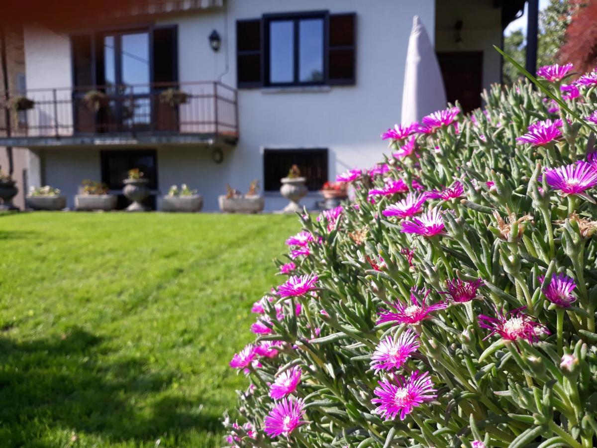 Villa Giardino Dervio Exteriör bild